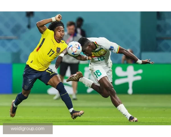 世界杯焦点之战日本迎战塞内加尔展现亚洲力量与非洲速度碰撞精彩瞬间